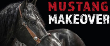 Event-Image for 'Mustang Makeover'