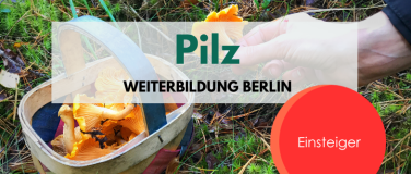 Event-Image for 'Pilz Weiterbildung für Einsteiger*innen'